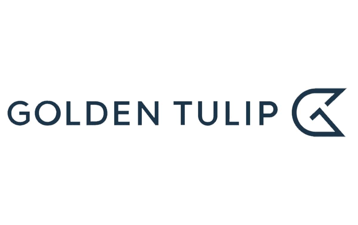 gt logo